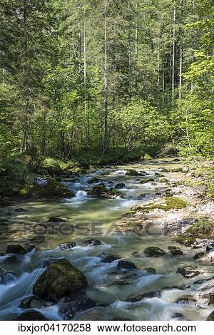 Stock Photo - Waldbachstrub, forest stream in Echerntal, Hallstatt, Upper Austria, Austria, Europe. Fotosearch