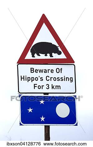Warning sign, hippos crosssing, Saint Lucia, iSimangaliso Wetland Park, Kwa Zulu Natal, South Africa, Africa View Large Photo Image Stock Photograph - Warning sign, hippos crosssing, Saint Lucia, iSimangaliso Wetland Park, Kwa Zulu Natal, South Africa, Africa. Fotosearch