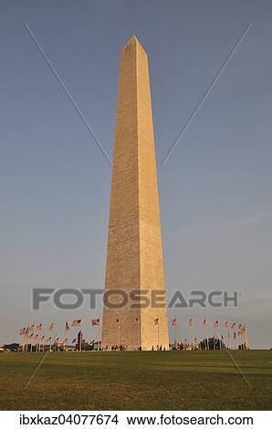Picture - Washington Monument and flags of the United States, Washington DC, USA. Fotosearch