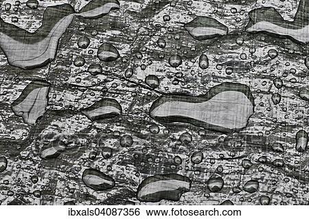 Water drops on tarpaulin View Large Photo Image Stock Photograph - Water drops on tarpaulin. Fotosearch