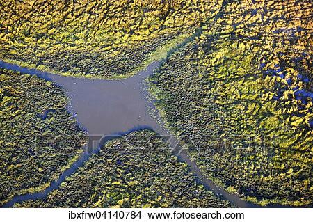 Waterhole, aerial view, South Luangwa National Park, Zambia, Africa View Large Photo Image Picture - Waterhole, aerial view, South Luangwa National Park, Zambia, Africa. Fotosearch