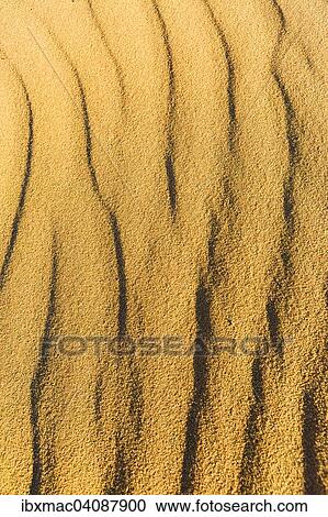 Wave pattern in the sand, Namib Desert, Namibia, Africa View Large Photo Image Stock Image - Wave pattern in the sand, Namib Desert, Namibia, Africa. Fotosearch