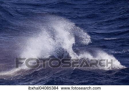 Waves, spray, sea, between La Gomera and Tenerife, Canary Islands, Spain, Europe View Large Photo Image Picture - Waves, spray, sea, between La Gomera and Tenerife, Canary Islands, Spain, Europe. Fotosearch