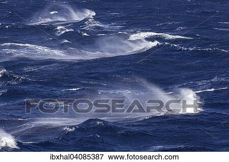 Stock Photo - Waves, spray, sea, between La Gomera and Tenerife, Canary Islands, Spain, Europe. Fotosearch