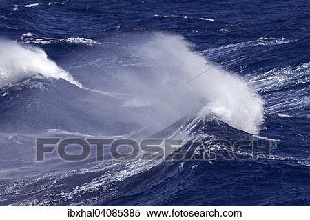 Waves, spray, sea, between La Gomera and Tenerife, Canary Islands, Spain, Europe View Large Photo Image Stock Photography - Waves, spray, sea, between La Gomera and Tenerife, Canary Islands, Spain, Europe. Fotosearch