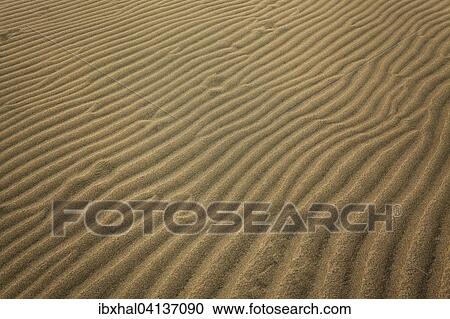 Wavy structures in the sand, dunes of Maspalomas, Nature Reserve, Gran Canaria, Canary Islands, Spain, Europe View Large Photo Image Stock Image - Wavy structures in the sand, dunes of Maspalomas, Nature Reserve, Gran Canaria, Canary Islands, Spain, Europe. Fotosearch