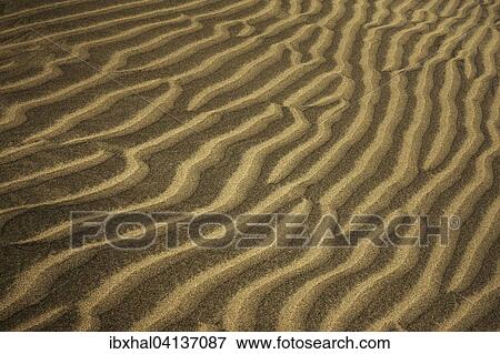 Wavy structures in the sand, dunes of Maspalomas, Nature Reserve, Gran Canaria, Canary Islands, Spain, Europe View Large Photo Image Stock Photo - Wavy structures in the sand, dunes of Maspalomas, Nature Reserve, Gran Canaria, Canary Islands, Spain, Europe. Fotosearch
