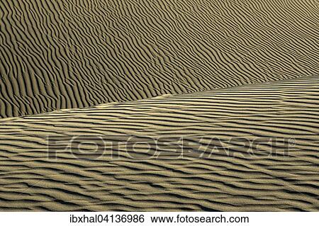 Stock Photograph - Wavy structures in the sand, dunes of Maspalomas, Nature Reserve, Gran Canaria, Canary Islands, Spain, Europe. Fotosearch