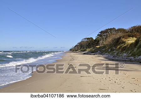 West beach, Pomerania Lagoon Area National Park, Mecklenburg-Western Pomerania, Germany, Europe View Large Photo Image Stock Photograph - West beach, Pomerania Lagoon Area National Park, Mecklenburg-Western Pomerania, Germany, Europe. Fotosearch