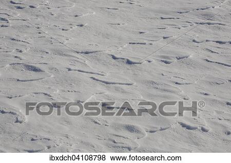 Wind-blown snow on the ground, Eastern Townships, South Stukely, Quebec, Canada, North America View Large Photo Image Stock Photo - Wind-blown snow on the ground, Eastern Townships, South Stukely, Quebec, Canada, North America. Fotosearch