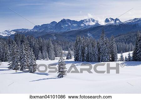 Stock Photograph - Winklmoosalm alp and Lofer Steinberg mountains in Salzburg state, Austria, Reit im Winkl, Chiemgau Alps, Upper Bavaria, Bavaria, Germany, Europe. Fotosearch
