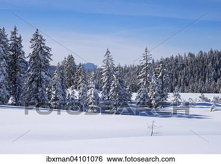 Winklmoosalm alp, Reit im Winkl, Chiemgau Alps, Upper Bavaria, Bavaria, Germany, Europe View Large Photo Image Stock Photograph - Winklmoosalm alp, Reit im Winkl, Chiemgau Alps, Upper Bavaria, Bavaria, Germany, Europe. Fotosearch