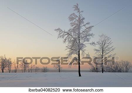 Winter landscape, morning mood, Kahler Asten, North Rhine-Westphalia, Germany, Europe View Large Photo Image Stock Image - Winter landscape, morning mood, Kahler Asten, North Rhine-Westphalia, Germany, Europe. Fotosearch