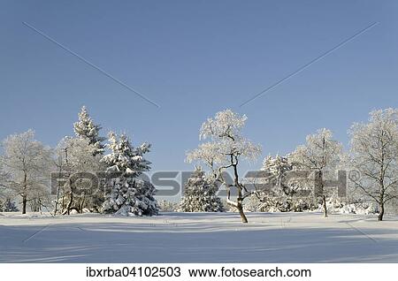 Winter landscape, snowy trees, Kahler Asten, North Rhine-Westphalia, Germany, Europe View Large Photo Image Stock Image - Winter landscape, snowy trees, Kahler Asten, North Rhine-Westphalia, Germany, Europe. Fotosearch