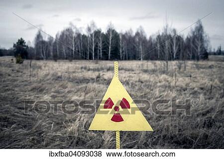 Wooded area in the contaminated zone between Pripyat and Chernobyl, Ukraine, Europe View Large Photo Image Stock Photo - Wooded area in the contaminated zone between Pripyat and Chernobyl, Ukraine, Europe. Fotosearch
