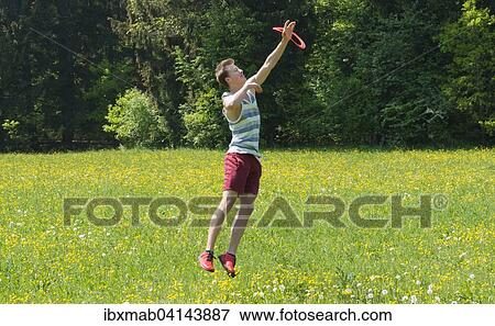 Stock Photo - Young man catching frisbee in meadow, Perlacher Forst, Munich, Bavaria, Germany, Europe. Fotosearch