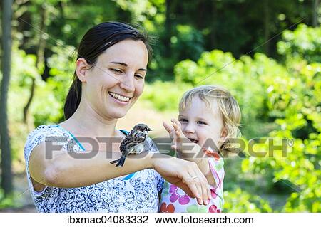Young mother and a toddler, a sparrow is perched on the mother's arm, Lainzer Tiergarten, wildlife preserve, Vienna, Austria, Europe View Large Photo Image Stock Image - Young mother and a toddler, a sparrow is perched on the mother's arm, Lainzer Tiergarten, wildlife preserve, Vienna, Austria, Europe. Fotosearch