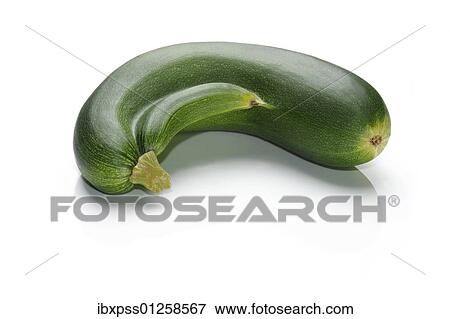 Stock Photo - Zucchini with baby. Fotosearch