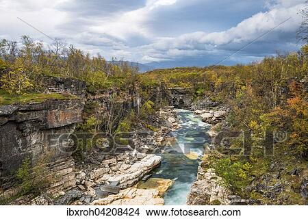 Autumn in Abisko canyon, Abisko National Park, Norrbotten, Lapland, Scandinavia, Sweden, Europe View Large Photo Image Picture - Autumn in Abisko canyon, Abisko National Park, Norrbotten, Lapland, Scandinavia, Sweden, Europe. Fotosearch