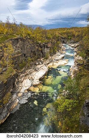 Autumn in Abisko canyon, Abisko National Park, Norrbotten, Lapland, Scandinavia, Sweden, Europe View Large Photo Image Stock Image - Autumn in Abisko canyon, Abisko National Park, Norrbotten, Lapland, Scandinavia, Sweden, Europe. Fotosearch