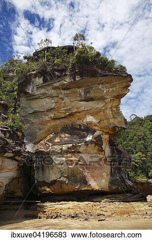 Bako National Park, sandstone cliffs on the coast, South China Sea, Sarawak, Borneo, Malaysia, Asia View Large Photo Image Stock Image - Bako National Park, sandstone cliffs on the coast, South China Sea, Sarawak, Borneo, Malaysia, Asia. Fotosearch
