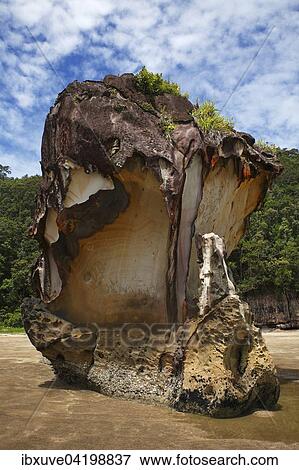 Bako National Park, sandstone cliffs on the beach, South China Sea, Sarawak, Borneo, Malaysia, Asia View Large Photo Image Stock Photo - Bako National Park, sandstone cliffs on the beach, South China Sea, Sarawak, Borneo, Malaysia, Asia. Fotosearch
