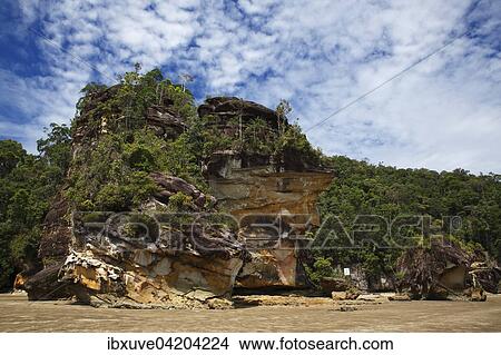 Bako National Park, sandstone rock and rainforest on the coast, South China Sea, Sarawak, Borneo, Malaysia, Asia View Large Photo Image Picture - Bako National Park, sandstone rock and rainforest on the coast, South China Sea, Sarawak, Borneo, Malaysia, Asia. Fotosearch