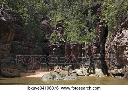 Bako National Park, sandstone rocks and tropical rainforest on the coast, South China Sea, Sarawak, Borneo, Malaysia, Asia View Large Photo Image Stock Photograph - Bako National Park, sandstone rocks and tropical rainforest on the coast, South China Sea, Sarawak, Borneo, Malaysia, Asia. Fotosearch