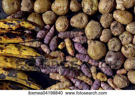 Stock Image - Bananas (Musa), potatoes (Solanum tuberosum) and oca or Oxalis tuberosa on a baking sheet, Bolivia, South America. Fotosearch