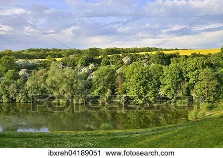 Blaubachsee lake, Kleinbrettheim, Baden-Wurttemberg, Germany, Europe View Large Photo Image Stock Image - Blaubachsee lake, Kleinbrettheim, Baden-Wurttemberg, Germany, Europe. Fotosearch