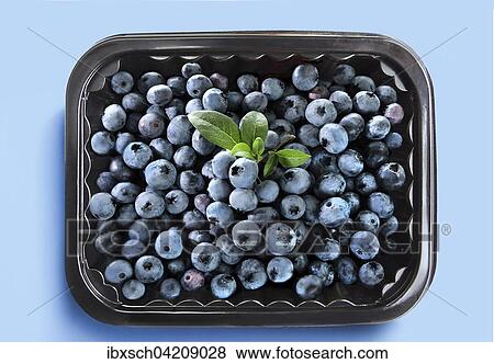 Blueberries in a bowl, with decorative leaves View Large Photo Image Stock Photo - Blueberries in a bowl, with decorative leaves. Fotosearch