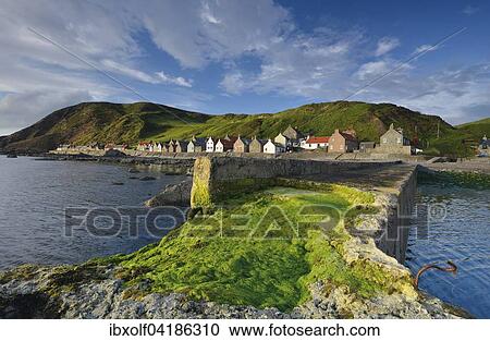 Coastline with green algae on the Crovie Pier and large stones, fishing area Crovie, Banffshire, Scotland, United Kingdom, Europe View Large Photo Image Stock Image - Coastline with green algae on the Crovie Pier and large stones, fishing area Crovie, Banffshire, Scotland, United Kingdom, Europe. Fotosearch