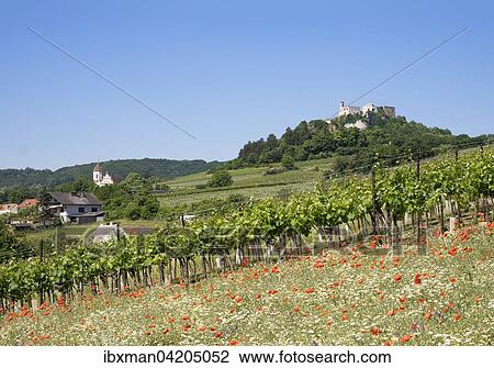 Falkenstein Castle, Weinviertel, Lower Austria, Austria, Europe View Large Photo Image Stock Image - Falkenstein Castle, Weinviertel, Lower Austria, Austria, Europe. Fotosearch