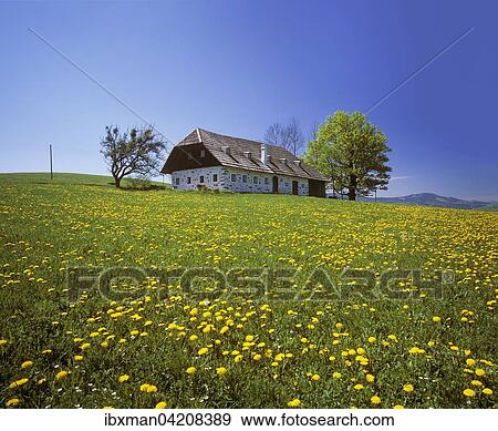 Farmhouse in St. Michael, Mostviertel, Lower Austria, Austria, Europe View Large Photo Image Stock Photo - Farmhouse in St. Michael, Mostviertel, Lower Austria, Austria, Europe. Fotosearch