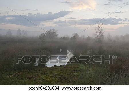 Fog in the morning in the Moor, Emsland, Lower Saxony, Germany, Europe View Large Photo Image Picture - Fog in the morning in the Moor, Emsland, Lower Saxony, Germany, Europe. Fotosearch