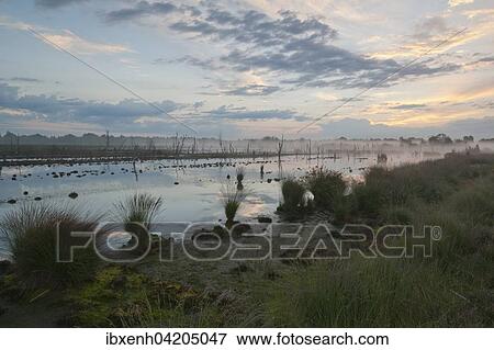 Stock Photo - Fog in the morning in the Moor, Emsland, Lower Saxony, Germany, Europe. Fotosearch