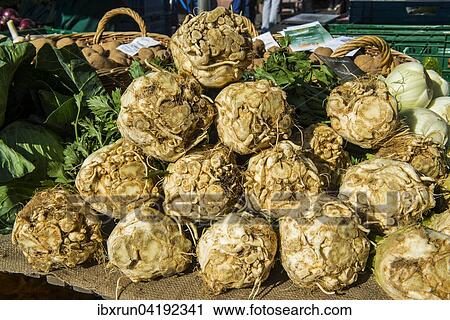 Fresh celeriacs for sale, Rhineland-Palatinate, Germany, Europe View Large Photo Image Stock Image - Fresh celeriacs for sale, Rhineland-Palatinate, Germany, Europe. Fotosearch