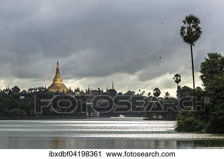 Golden main stupa, chedi, Shwedagon Pagoda, Kandawgyi Lake, Kandawgyi Nature Park, Yangon or Rangoon, Yangon Region, Myanmar, Asia View Large Photo Image Stock Image - Golden main stupa, chedi, Shwedagon Pagoda, Kandawgyi Lake, Kandawgyi Nature Park, Yangon or Rangoon, Yangon Region, Myanmar, Asia. Fotosearch