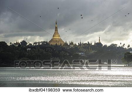 Stock Photo - Golden main stupa, chedi, Shwedagon Pagoda, Kandawgyi Lake, Kandawgyi Nature Park, Yangon or Rangoon, Yangon Region, Myanmar, Asia. Fotosearch