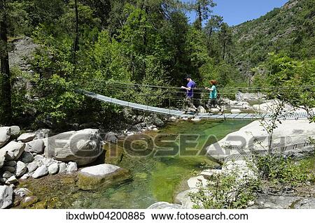 Hikers on a suspension bridge across the river Bonifatu at the long-distance trail Tra Mare e Monti and GR20, in the Foret de Bonifatu, Haute-Corse, Corsica, France, Europe View Large Photo Image Stock Photography - Hikers on a suspension bridge across the river Bonifatu at the long-distance trail Tra Mare e Monti and GR20, in the Foret de Bonifatu, Haute-Corse, Corsica, France, Europe. Fotosearch