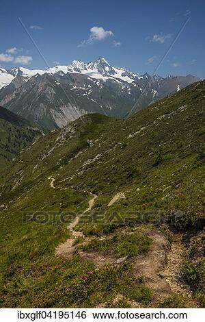 Hiking, Grossglockner behind, High Tauern National Park, East Tyrol, Tyrol, Austria, Europe View Large Photo Image Stock Photograph - Hiking, Grossglockner behind, High Tauern National Park, East Tyrol, Tyrol, Austria, Europe. Fotosearch
