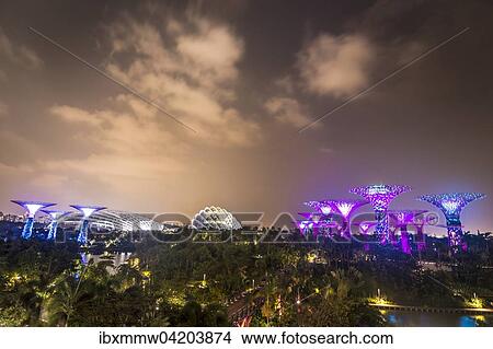 Illuminated SuperTrees at night, Gardens by the Bay, Singapore, Asia View Large Photo Image Picture - Illuminated SuperTrees at night, Gardens by the Bay, Singapore, Asia. Fotosearch
