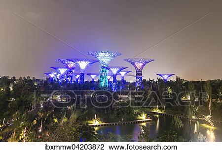 Illuminated SuperTrees at night, Gardens by the Bay, Singapore, Asia View Large Photo Image Stock Image - Illuminated SuperTrees at night, Gardens by the Bay, Singapore, Asia. Fotosearch
