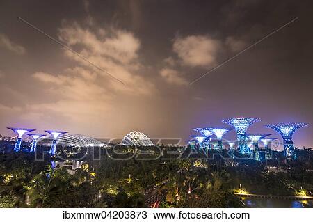 Illuminated SuperTrees at night, Gardens by the Bay, Singapore, Asia View Large Photo Image Stock Image - Illuminated SuperTrees at night, Gardens by the Bay, Singapore, Asia. Fotosearch