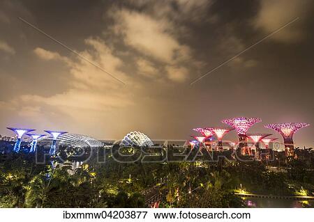 Stock Photo - Illuminated SuperTrees at night, Gardens by the Bay, Singapore, Asia. Fotosearch