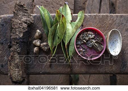 Ingredients for chewing on betel nuts, mountain village at Pin Tauk, Shan State Golden Triangle, Myanmar, Asia View Large Photo Image Stock Image - Ingredients for chewing on betel nuts, mountain village at Pin Tauk, Shan State Golden Triangle, Myanmar, Asia. Fotosearch