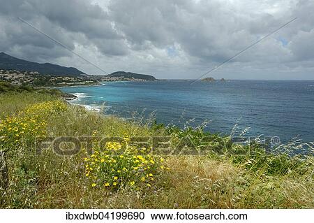L'Ile-Rousse with rain clouds, north coast, Haute-Corse, Corsica, France, Europe View Large Photo Image Stock Image - L'Ile-Rousse with rain clouds, north coast, Haute-Corse, Corsica, France, Europe. Fotosearch
