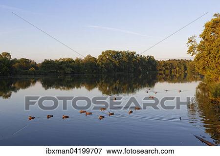 Main in the morning, near Philippsruhe Palace, Hanau, Hesse, Germany, Europe View Large Photo Image Stock Photo - Main in the morning, near Philippsruhe Palace, Hanau, Hesse, Germany, Europe. Fotosearch