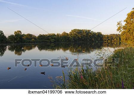 Main in the morning, near Philippsruhe Palace, Hanau, Hesse, Germany, Europe View Large Photo Image Stock Photograph - Main in the morning, near Philippsruhe Palace, Hanau, Hesse, Germany, Europe. Fotosearch