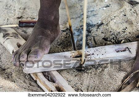 Stock Image - Man of the Orang Asil tribe starting a fire with wood, using friction, Taman Negara, Malaysia, Asia. Fotosearch